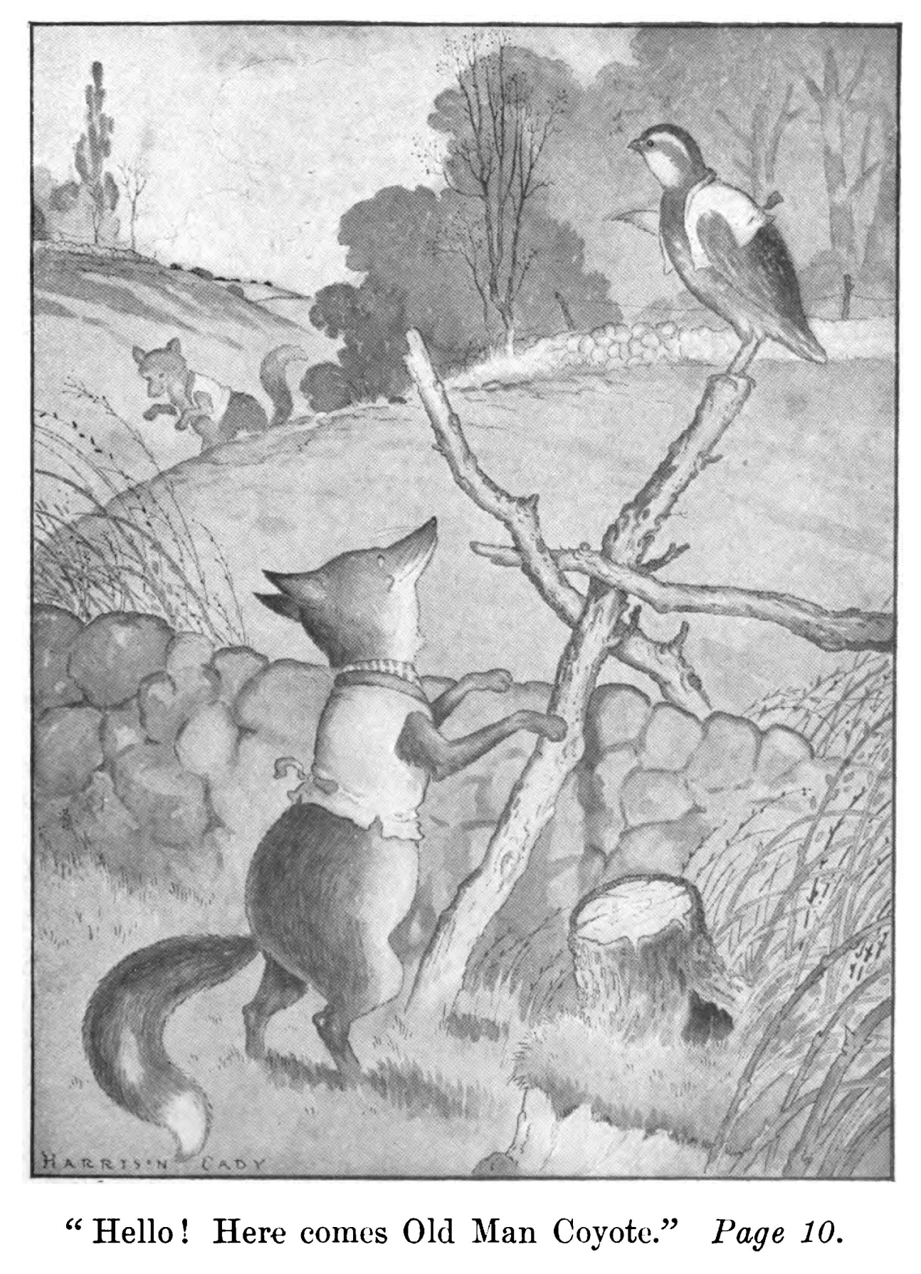 Bob White in an original illustration