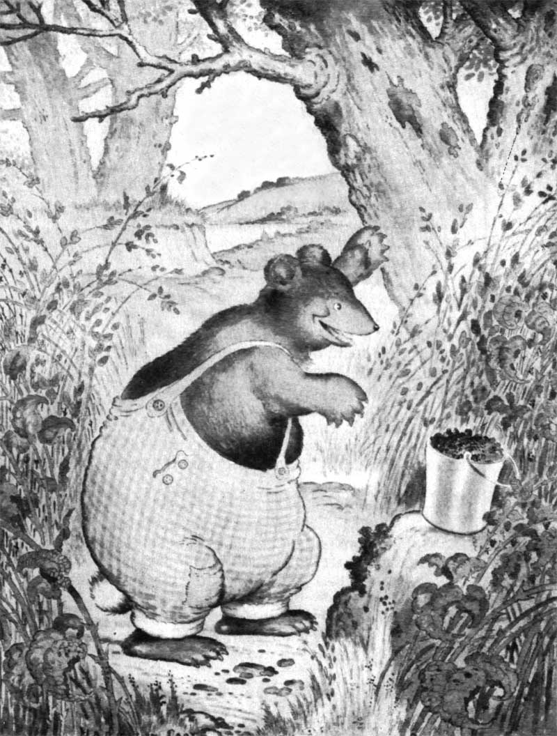 Buster Bear in an original illustration