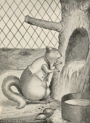 Chatterer the Red Squirrel in an original illustration
