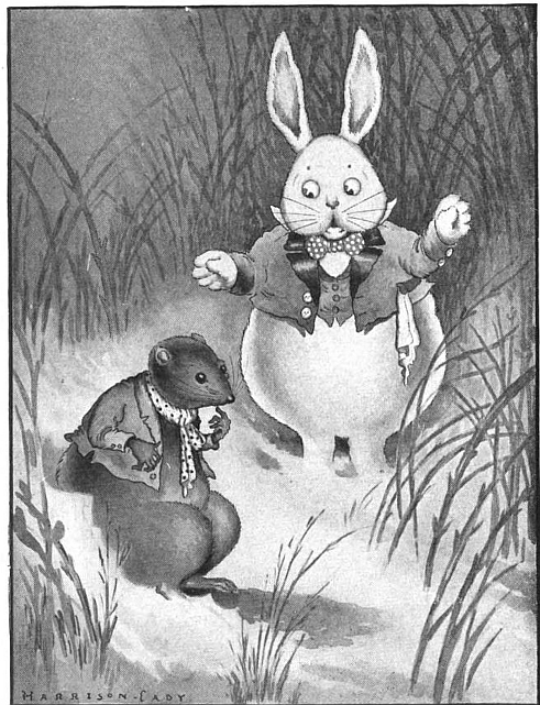 Danny Meadow Mouse in an original illustration