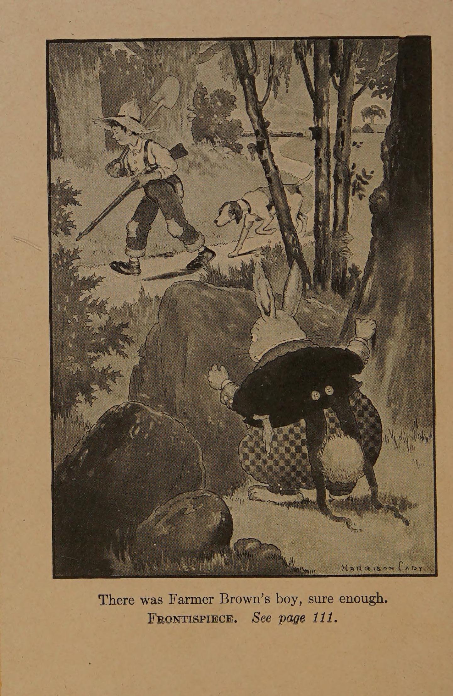 Farmer Brown's Boy in an original illustration