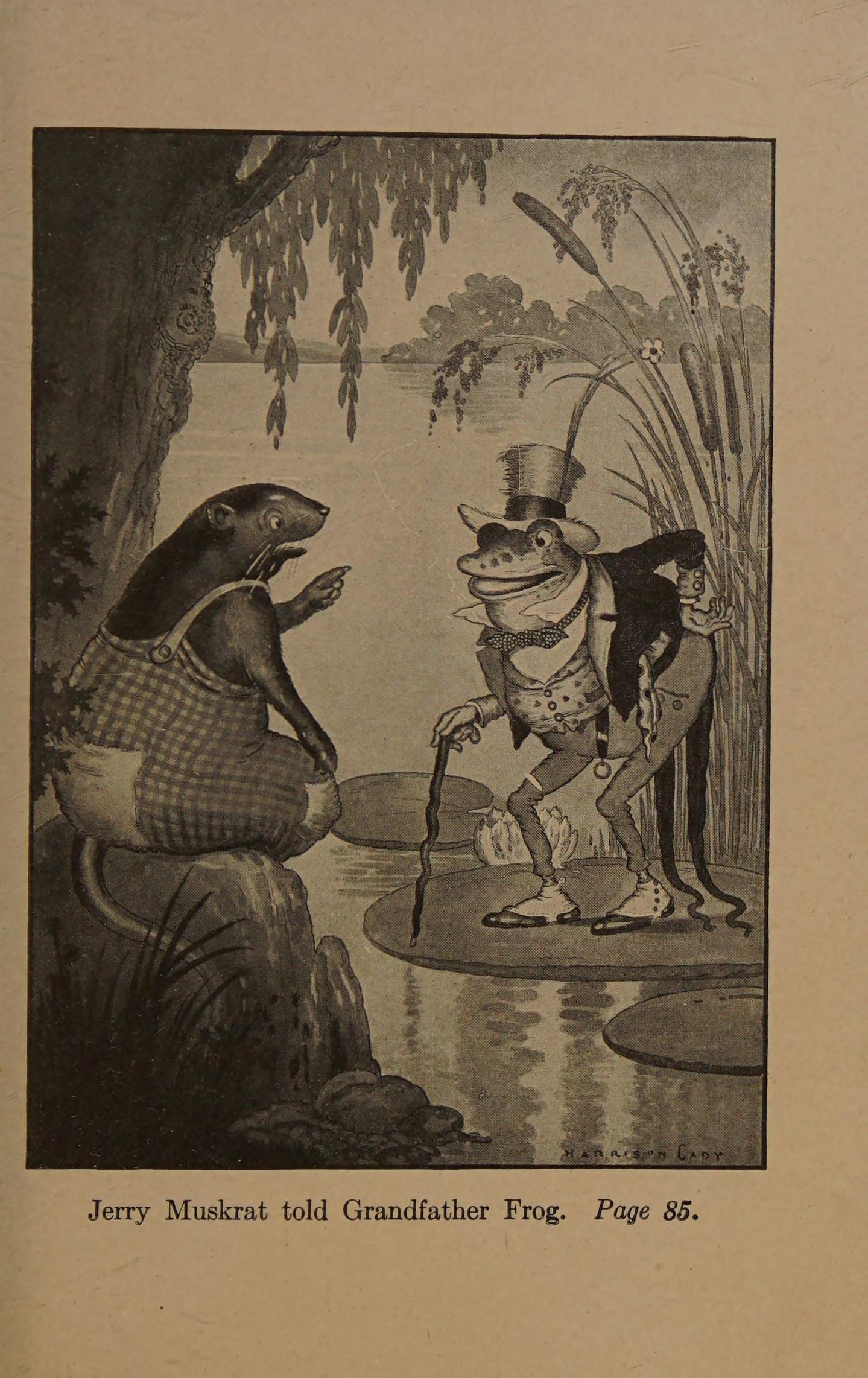 Grandfather Frog in an original illustration