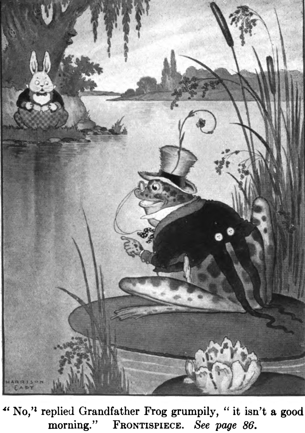 Grandfather Frog in an original illustration