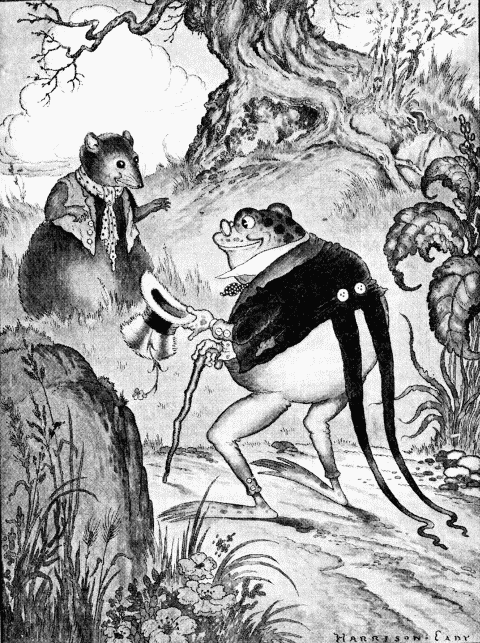 Grandfather Frog in an original illustration
