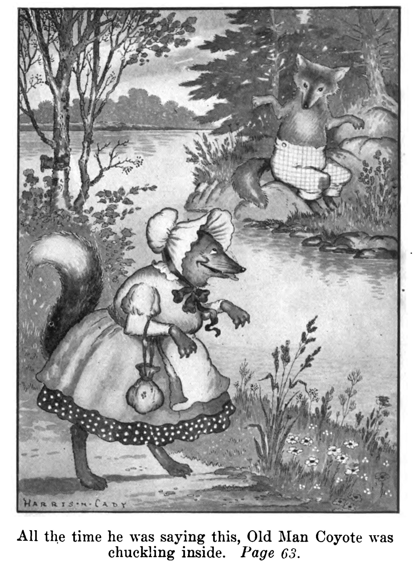 Granny Fox in an original illustration