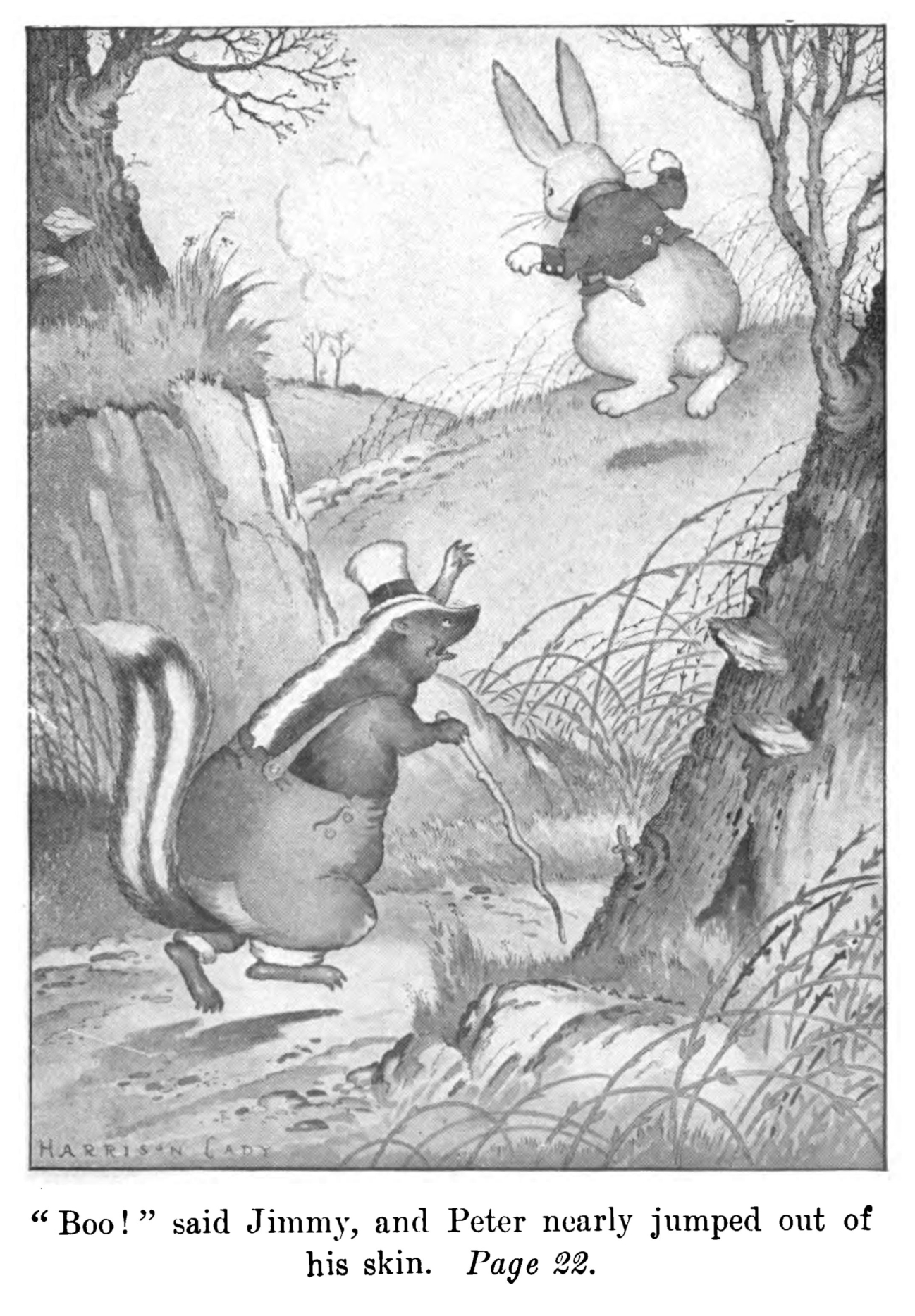 Jimmy Skunk in an original illustration