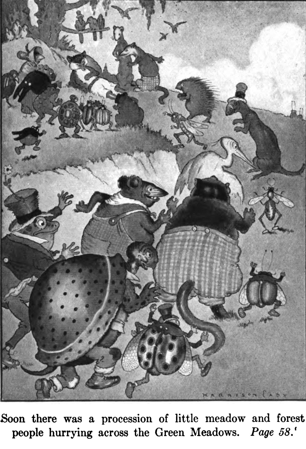 Johnny Chuck in an original illustration