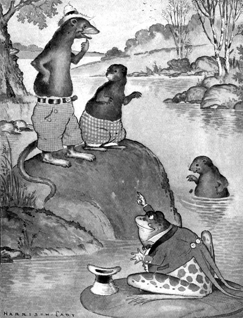 Little Joe Otter in an original illustration
