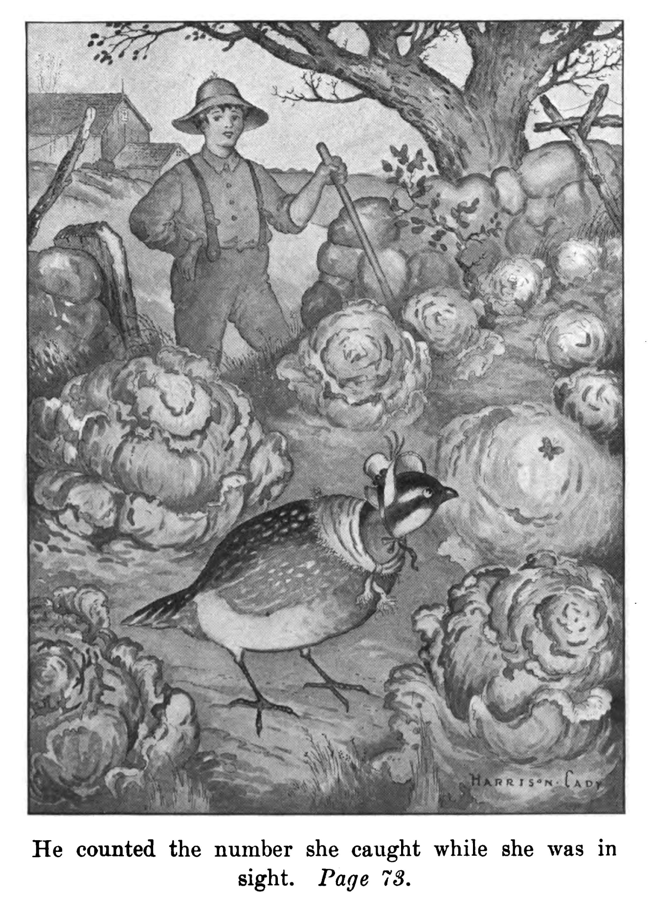 Mrs. Bob White in an original illustration