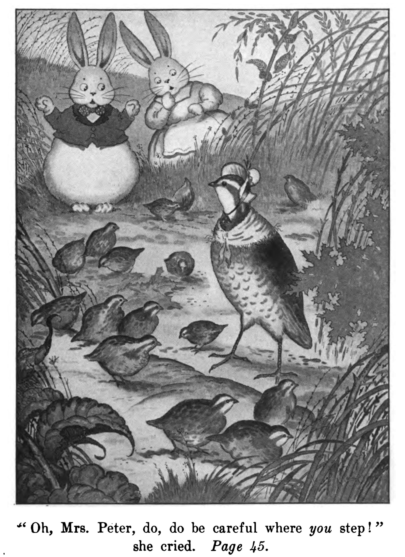 Mrs. Peter Rabbit in an original illustration