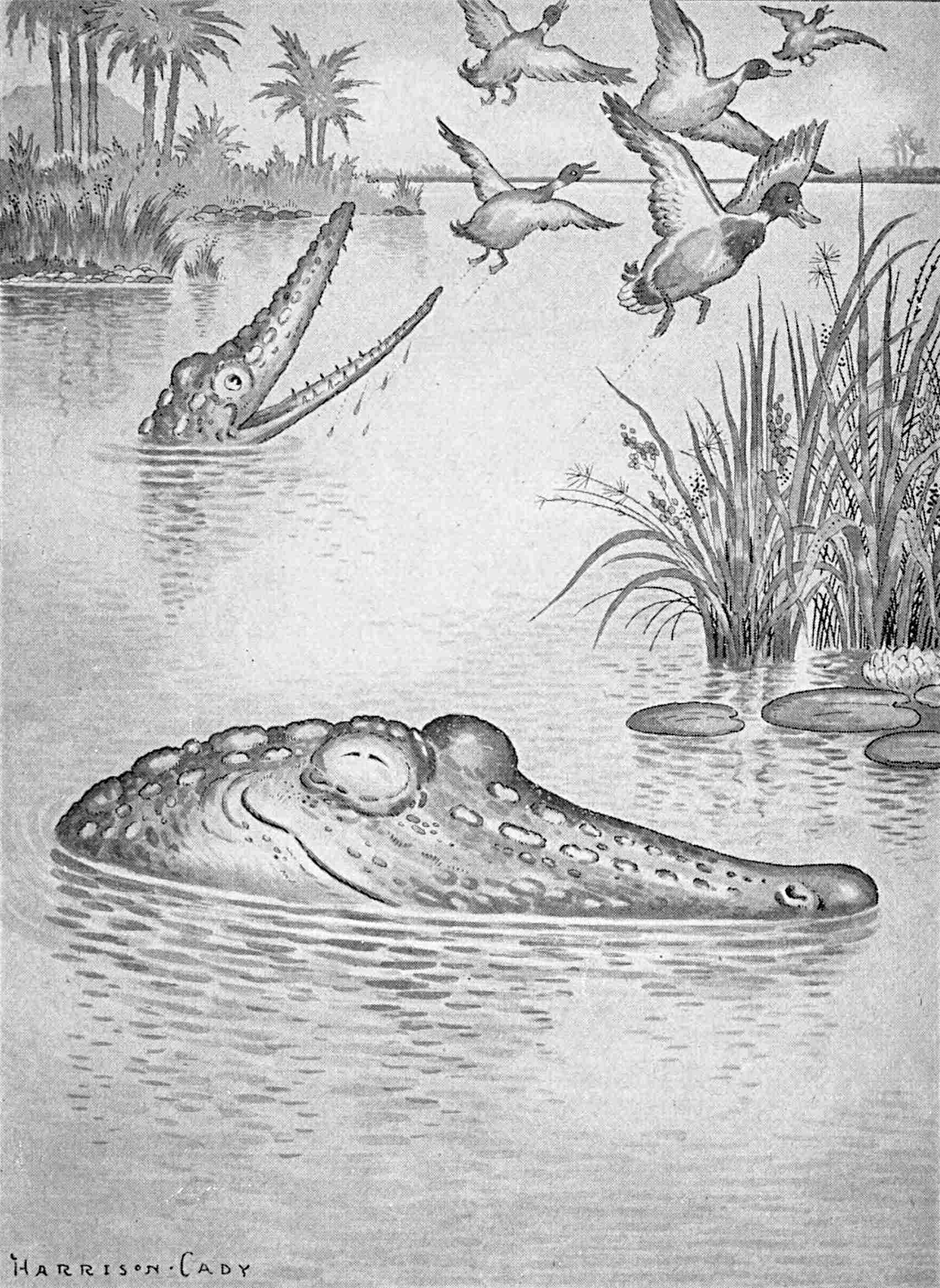 Old Ally the ’Gator in an original illustration