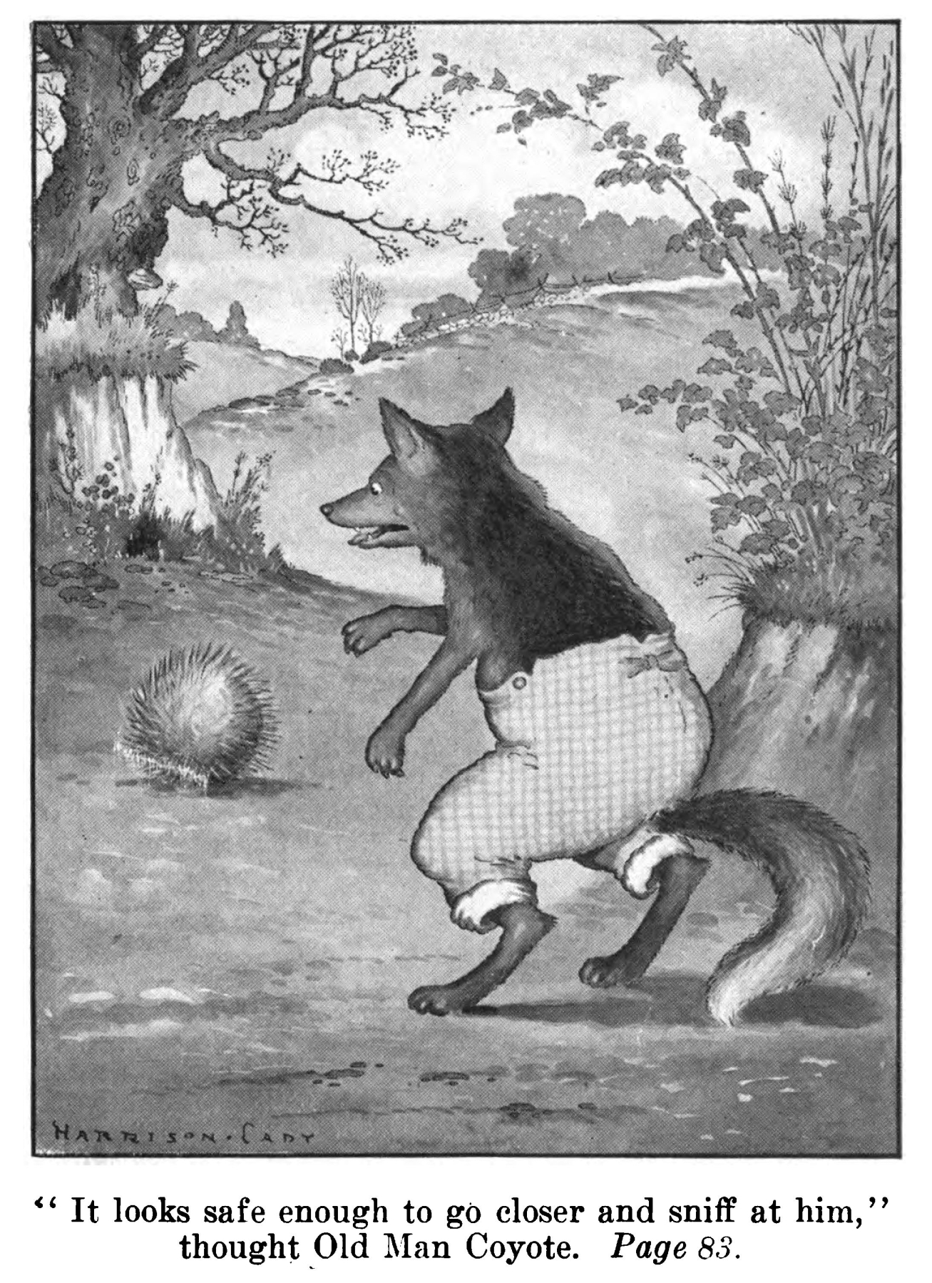 Old Man Coyote in an original illustration