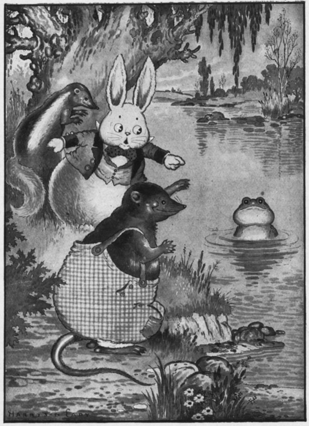 Old Mr. Toad in an original illustration