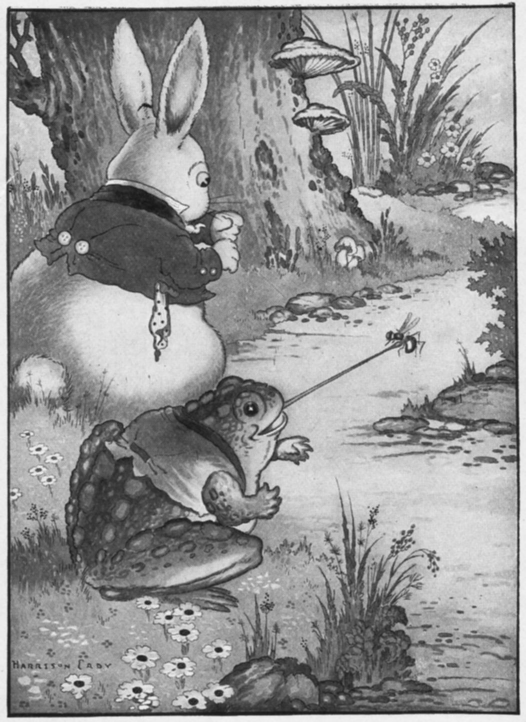 Old Mr. Toad in an original illustration