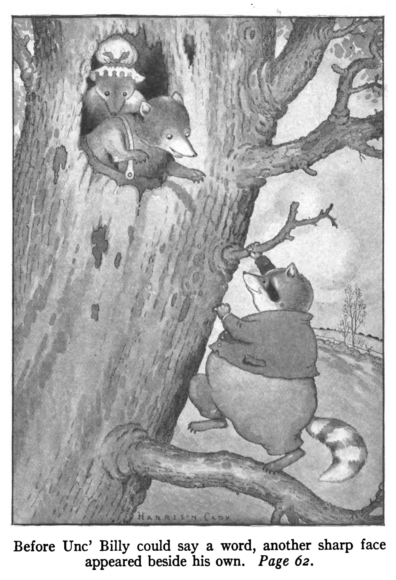 Old Mrs. Possum in an original illustration