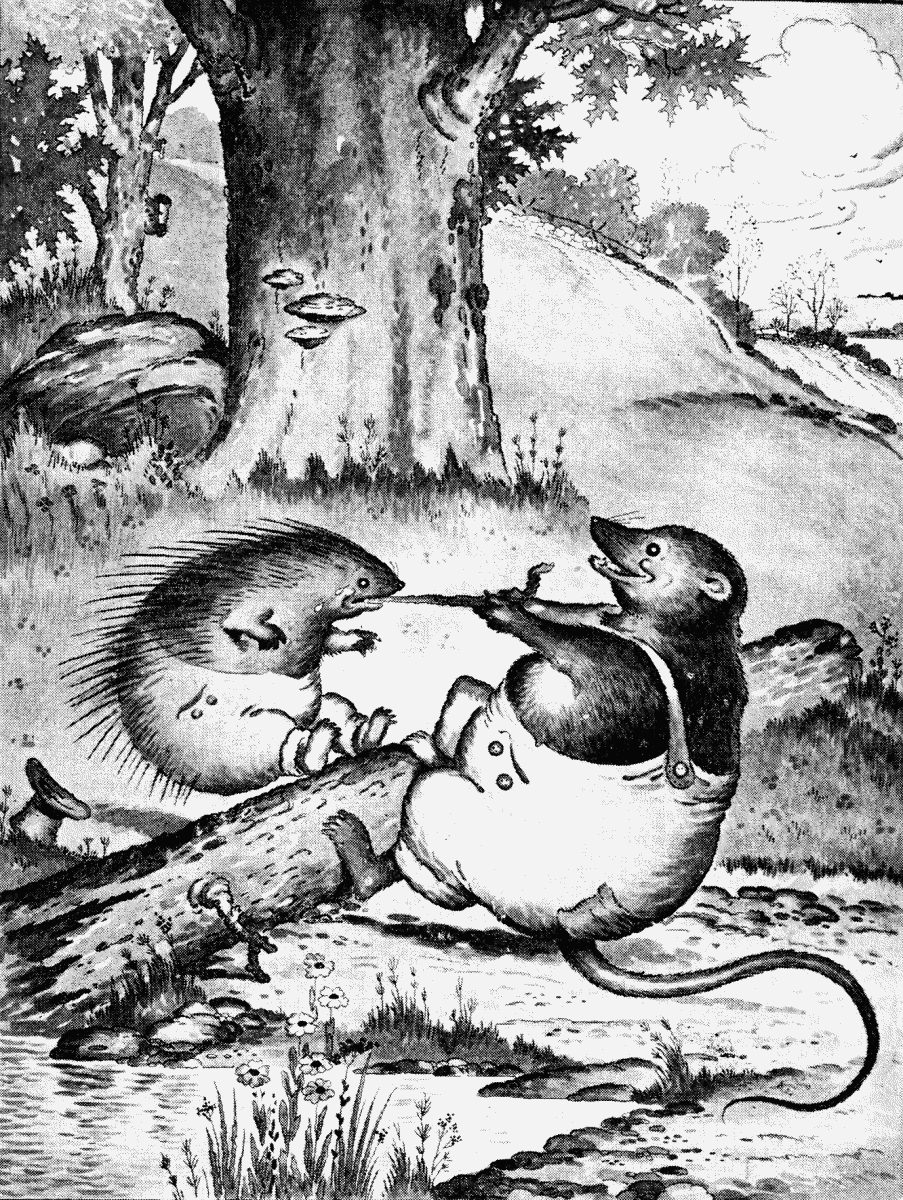 Prickly Porky in an original illustration