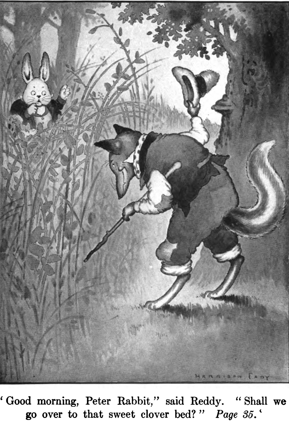 Reddy Fox in an original illustration