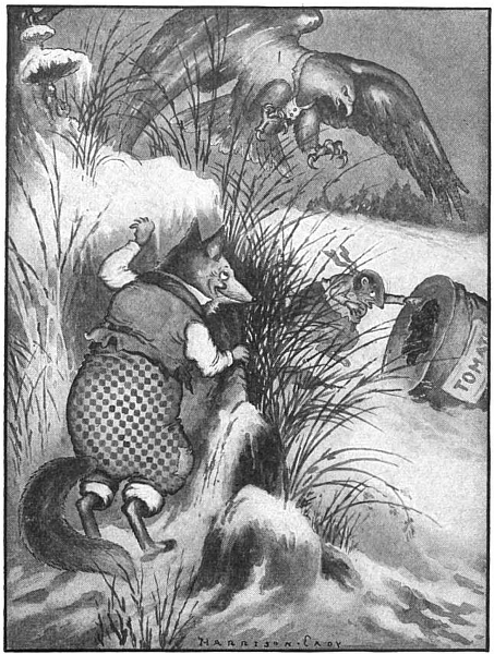 Redtail the Hawk in an original illustration