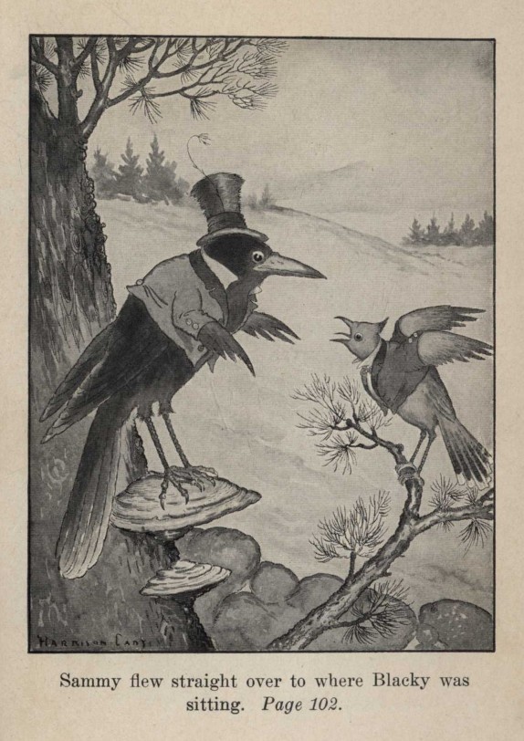 Sammy Jay in an original illustration